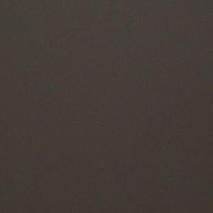 Meet your Posher, Ava